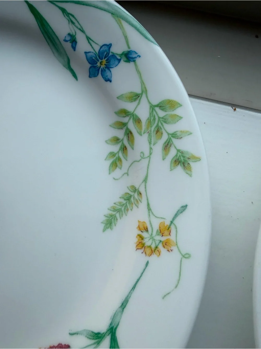 Floral Garden White Salad Plat - Set of 2